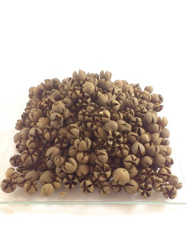 Chiloni 1 kg. naturel